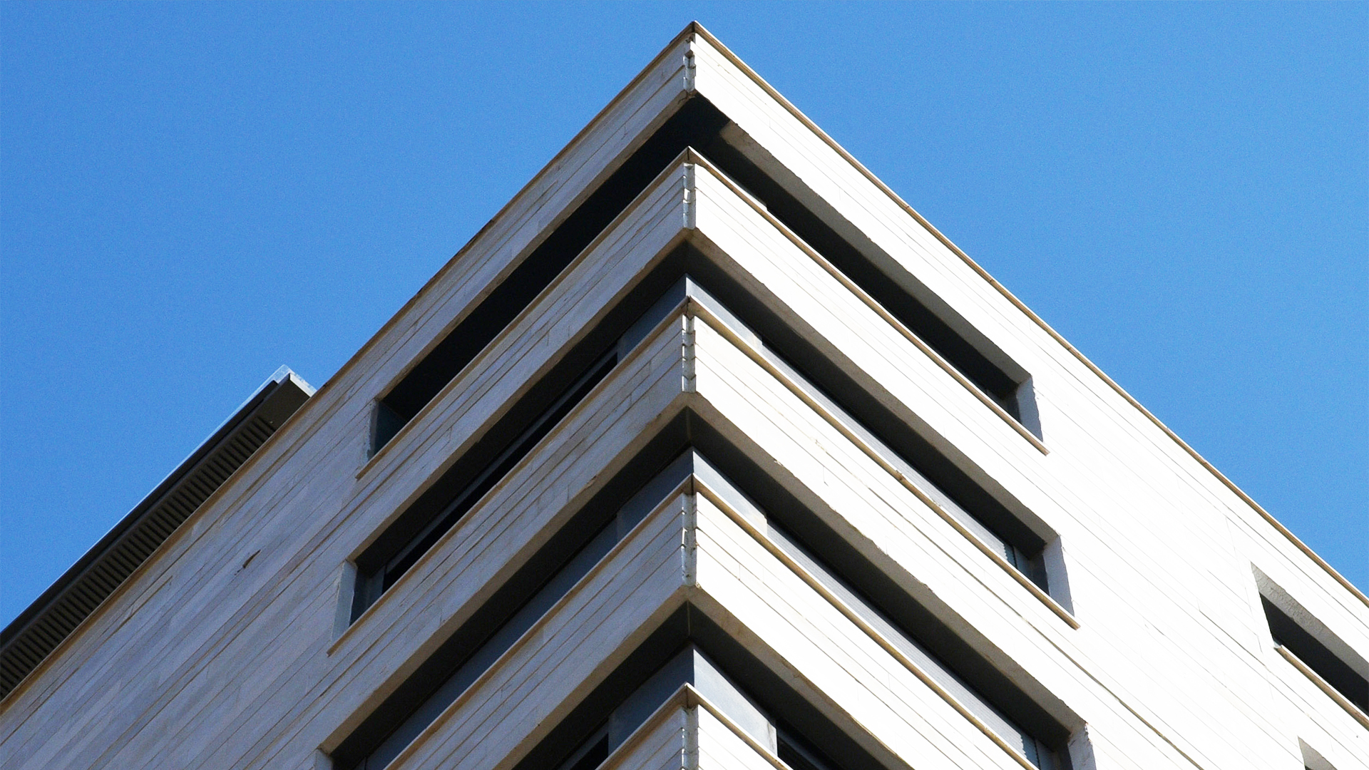 חבצלת השרון - רמת השרון_5